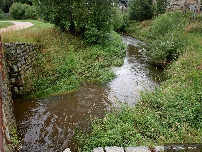woda-w-rzekach-opada-aktualizacja-foto-64108