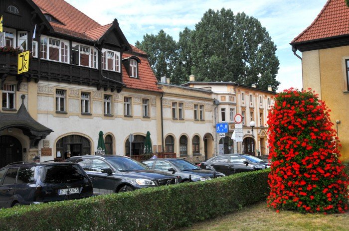 w-miescie-latem-kwitna-wieze-foto-64190