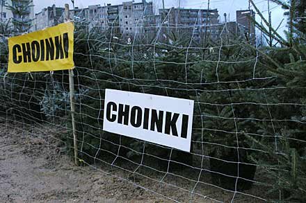 choinki-i-jodeki-6420