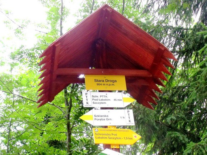 w-niezwyka-podroz-z-jelonkacom-foto-64205