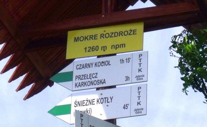 w-niezwyka-podroz-z-jelonkacom-foto-64205