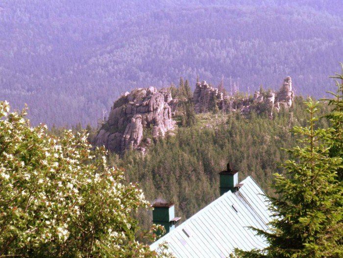 w-niezwyka-podroz-z-jelonkacom-foto-64205