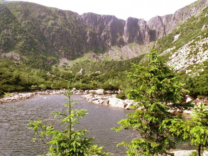 w-niezwyka-podroz-z-jelonkacom-foto-64205