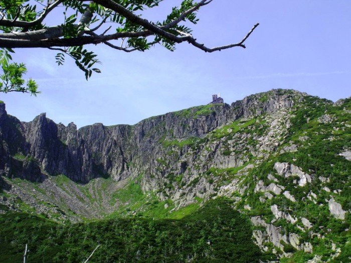 w-niezwyka-podroz-z-jelonkacom-foto-64205