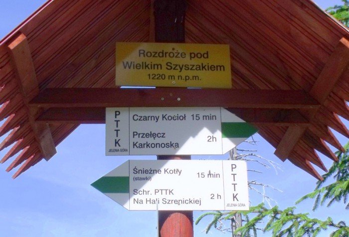 w-niezwyka-podroz-z-jelonkacom-foto-64205