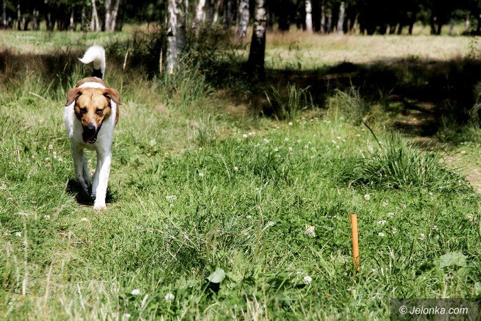 grozne-prety-bezmyslnosc-czy-gupota-foto-64230