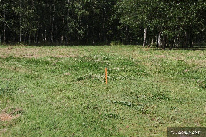 grozne-prety-bezmyslnosc-czy-gupota-foto-64230