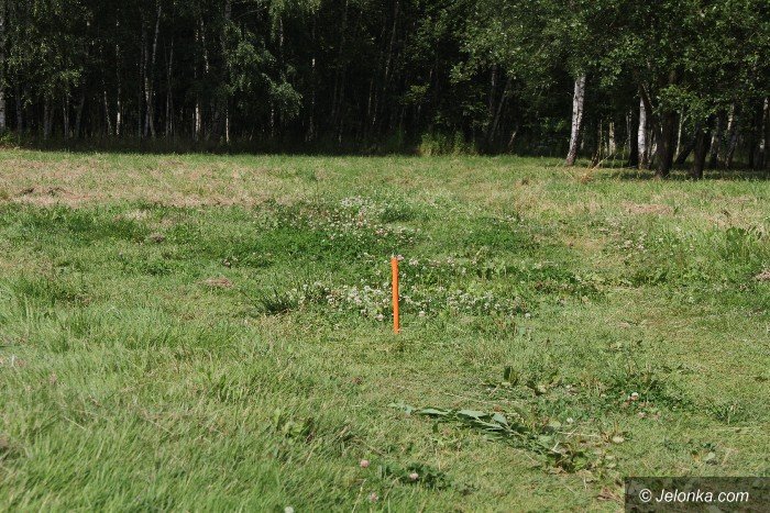 grozne-prety-bezmyslnosc-czy-gupota-foto-64230
