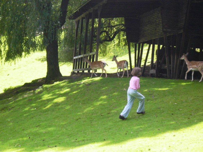 warto-wierzyc-w-siebie-i-walczyc-o-marzenia-foto-64239