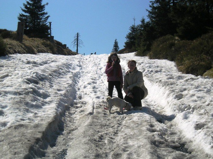 warto-wierzyc-w-siebie-i-walczyc-o-marzenia-foto-64239