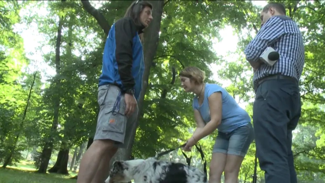 aktywny-dolny-slask-zakonczony-video-64277