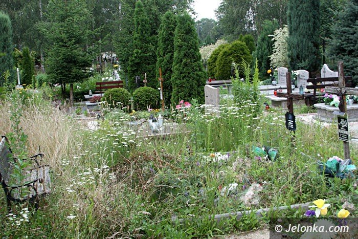 zarosniete-mogiy-woaja-o-pomste-do-nieba-foto-64284