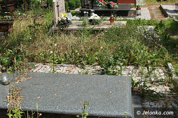 zarosniete-mogiy-woaja-o-pomste-do-nieba-foto-64284
