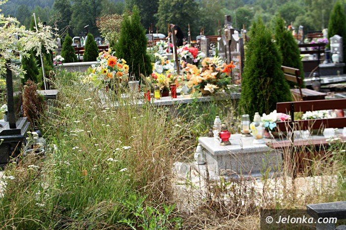 zarosniete-mogiy-woaja-o-pomste-do-nieba-foto-64284