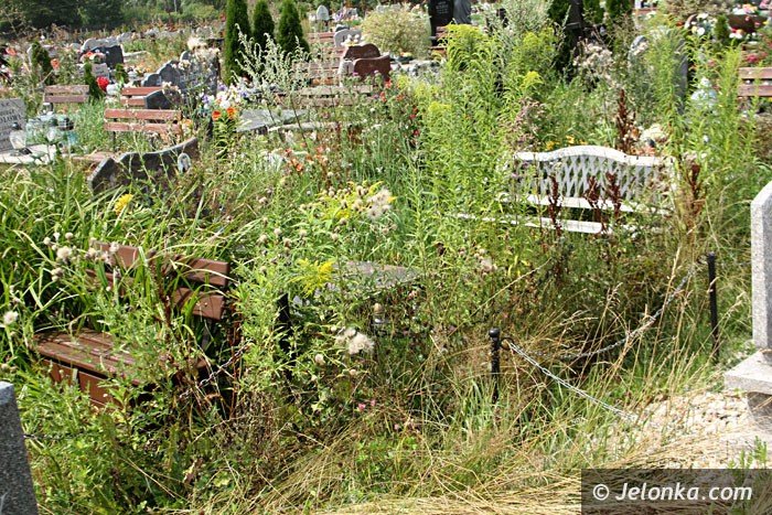 zarosniete-mogiy-woaja-o-pomste-do-nieba-foto-64284
