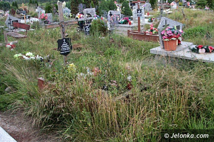 zarosniete-mogiy-woaja-o-pomste-do-nieba-foto-64284