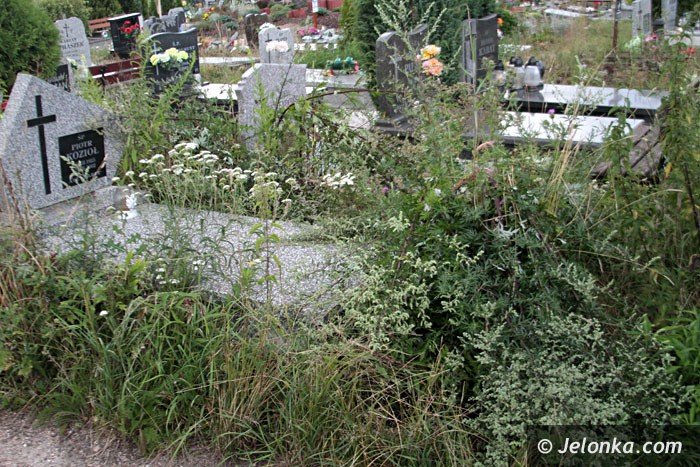 zarosniete-mogiy-woaja-o-pomste-do-nieba-foto-64284