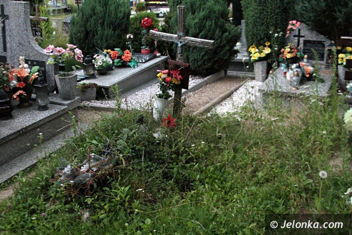 zarosniete-mogiy-woaja-o-pomste-do-nieba-foto-64284