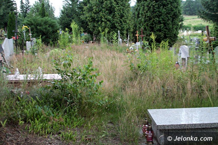 zarosniete-mogiy-woaja-o-pomste-do-nieba-foto-64284