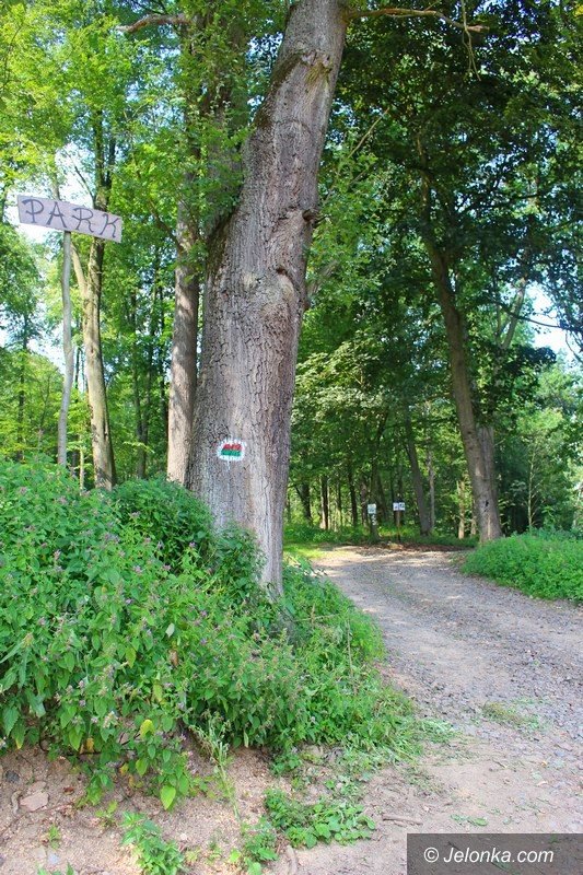 park-w-maciejowej-coraz-bardziej-popularny-foto-64323