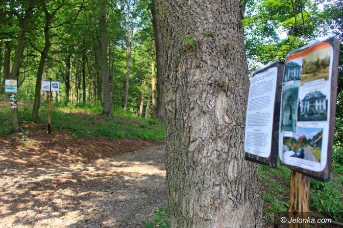 park-w-maciejowej-coraz-bardziej-popularny-foto-64323