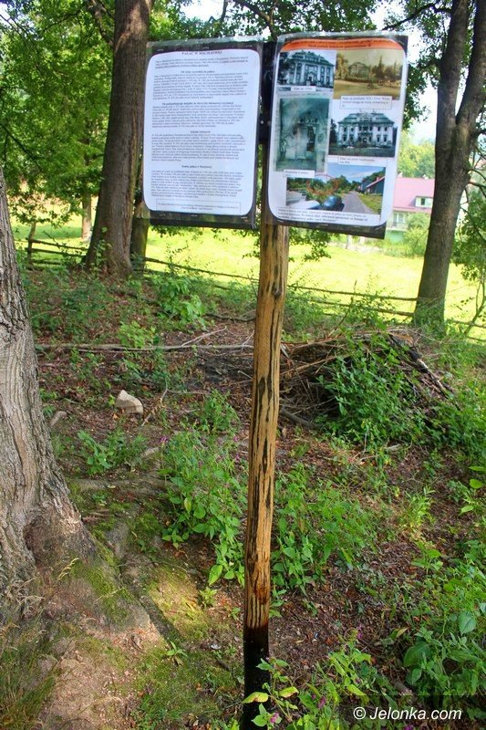park-w-maciejowej-coraz-bardziej-popularny-foto-64323