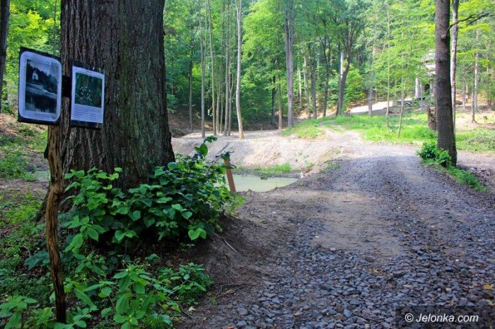 park-w-maciejowej-coraz-bardziej-popularny-foto-64323