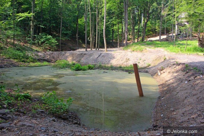 park-w-maciejowej-coraz-bardziej-popularny-foto-64323