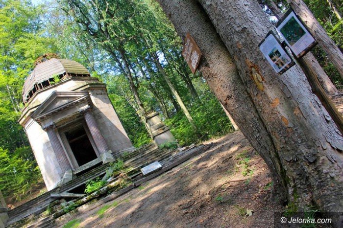 park-w-maciejowej-coraz-bardziej-popularny-foto-64323