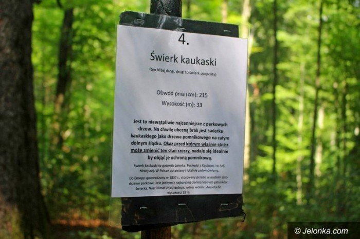 park-w-maciejowej-coraz-bardziej-popularny-foto-64323