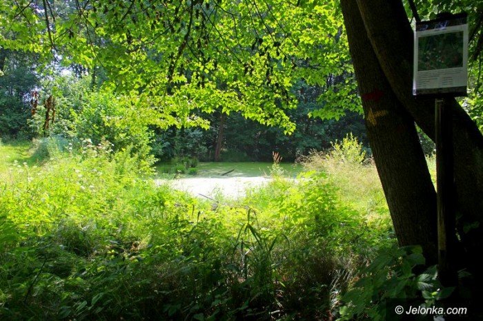 park-w-maciejowej-coraz-bardziej-popularny-foto-64323