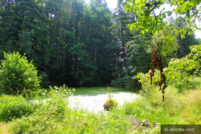 park-w-maciejowej-coraz-bardziej-popularny-foto-64323