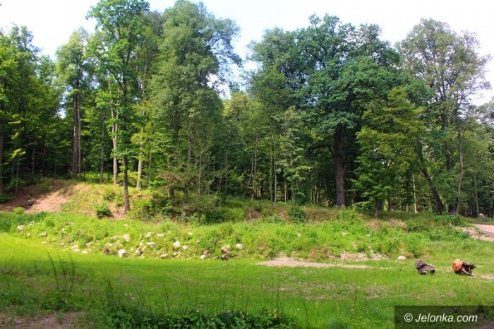 park-w-maciejowej-coraz-bardziej-popularny-foto-64323