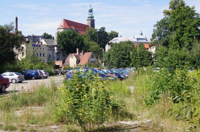 to-miejsce-mogoby-byc-piekne-foto-64360