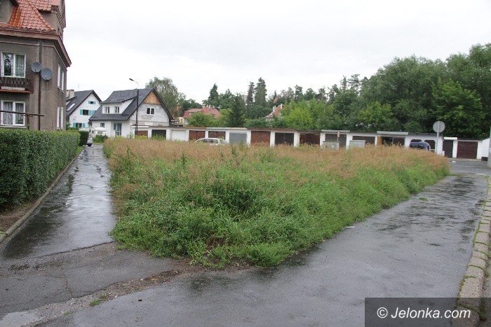 czytelniczka-kto-wreszcie-skosi-te-chaszcze-foto-64397