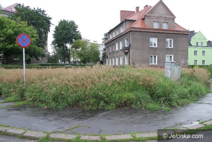 czytelniczka-kto-wreszcie-skosi-te-chaszcze-foto-64397