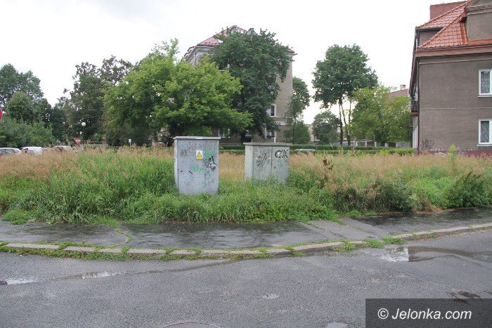 czytelniczka-kto-wreszcie-skosi-te-chaszcze-foto-64397