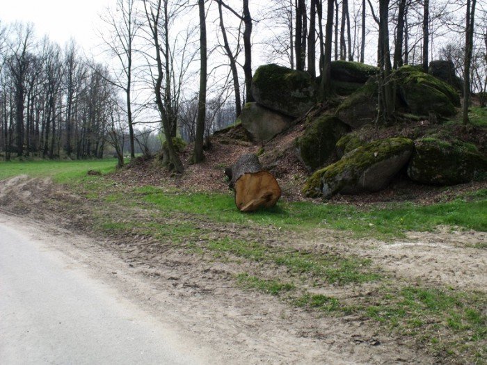 w-niezwyka-podroz-z-jelonkacom-foto-64401