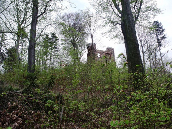 w-niezwyka-podroz-z-jelonkacom-foto-64401