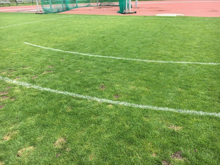 ataja-murawe-na-stadionie-foto-64406