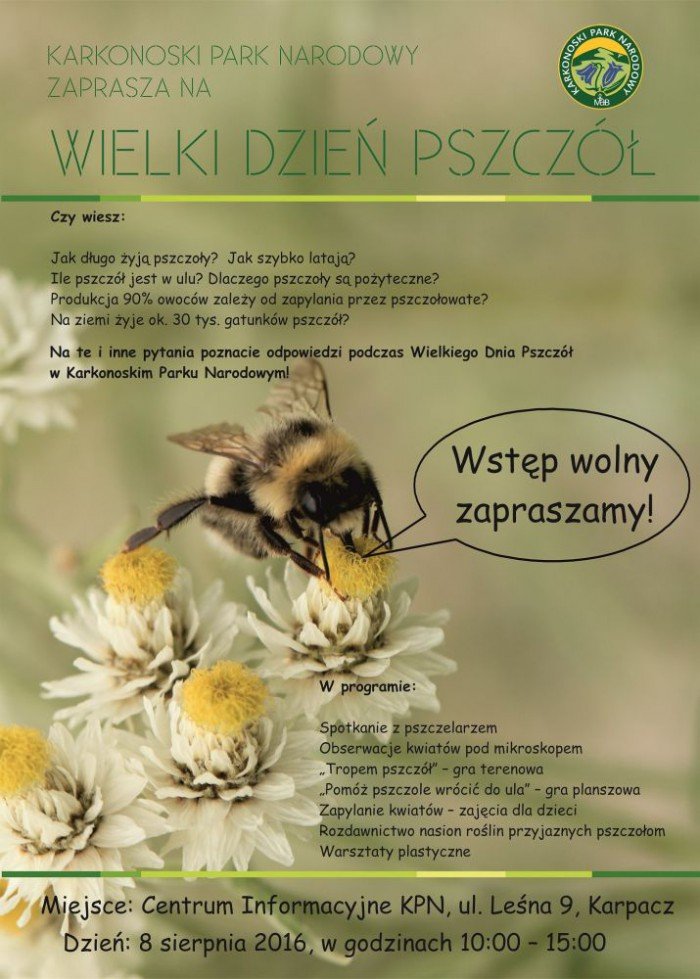 wielki-dzien-pszczo-jutro-64440