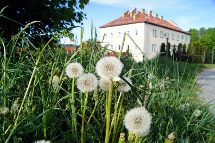 spacery-po-kowarach-szlakiem-tajemnic-fabryki-maszyn-foto-64482