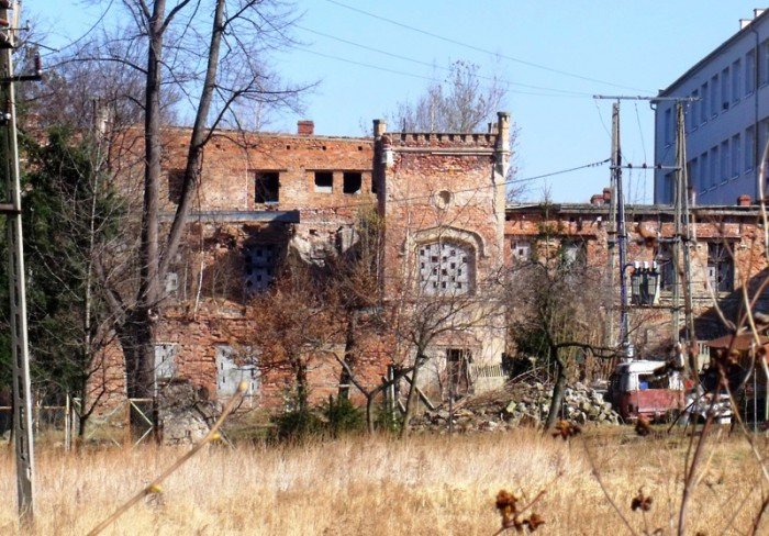 w-niezwyka-podroz-z-jelonkacom-foto-64498