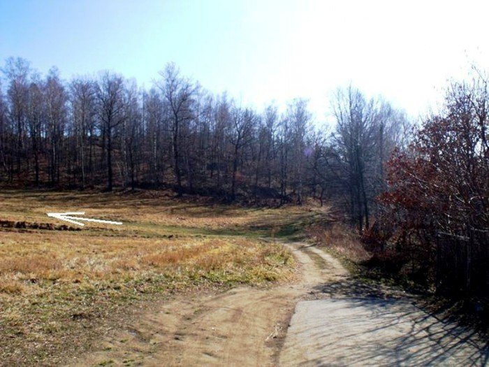 w-niezwyka-podroz-z-jelonkacom-foto-64498