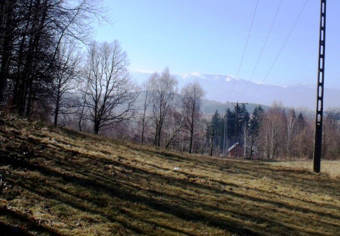 w-niezwyka-podroz-z-jelonkacom-foto-64498