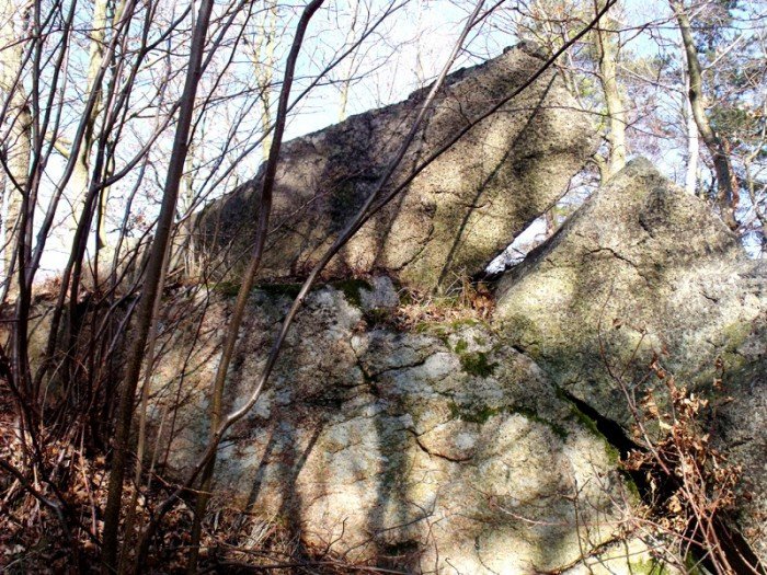 w-niezwyka-podroz-z-jelonkacom-foto-64498