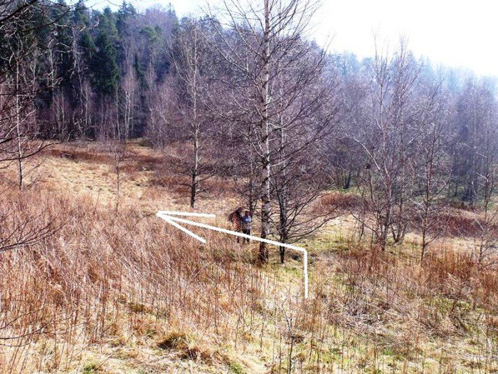 w-niezwyka-podroz-z-jelonkacom-foto-64498