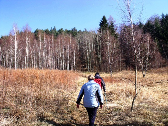 w-niezwyka-podroz-z-jelonkacom-foto-64498