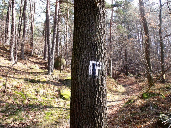 w-niezwyka-podroz-z-jelonkacom-foto-64498