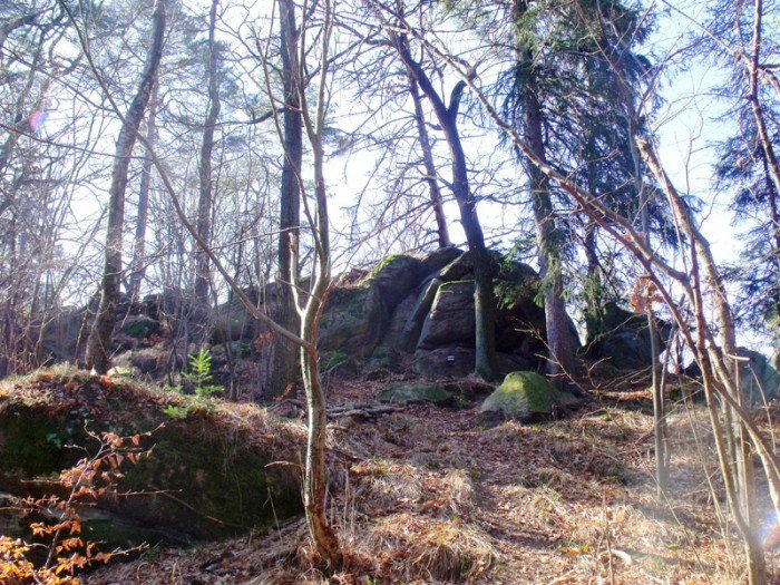 w-niezwyka-podroz-z-jelonkacom-foto-64498